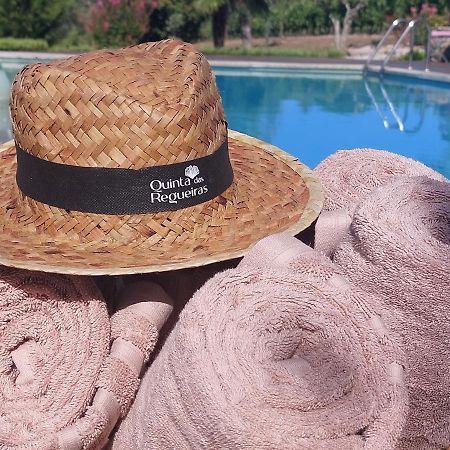Quinta Das Regueiras Viseu Εξωτερικό φωτογραφία