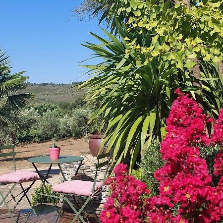 Quinta Das Regueiras Viseu Εξωτερικό φωτογραφία