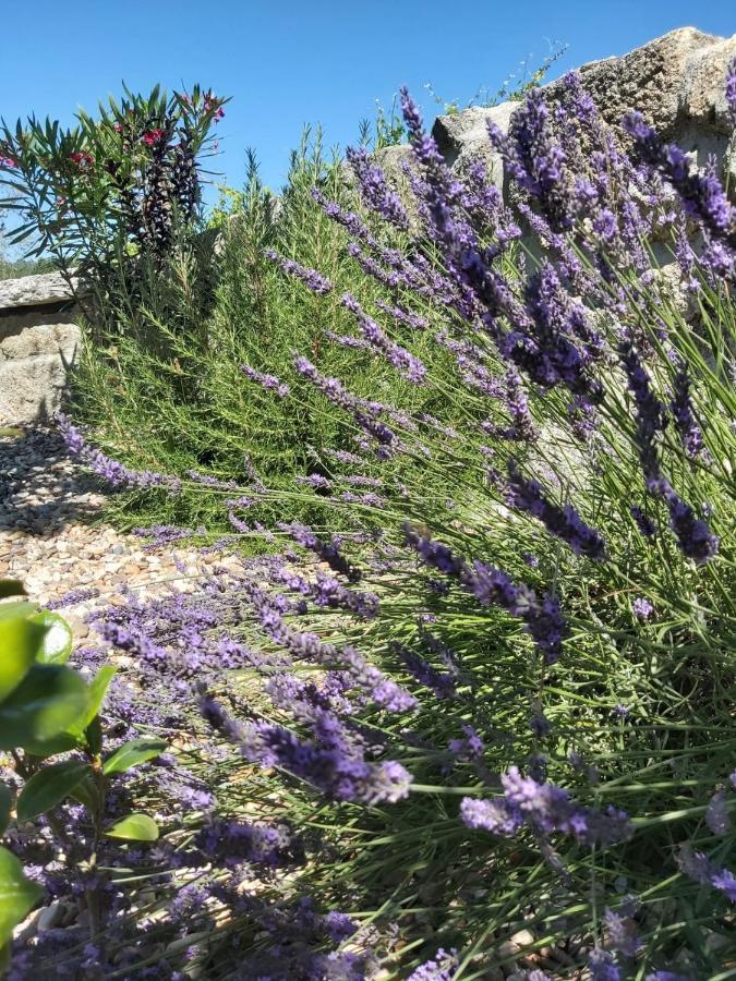 Quinta Das Regueiras Viseu Εξωτερικό φωτογραφία