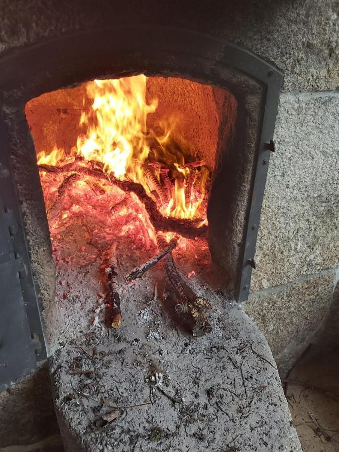 Quinta Das Regueiras Viseu Εξωτερικό φωτογραφία