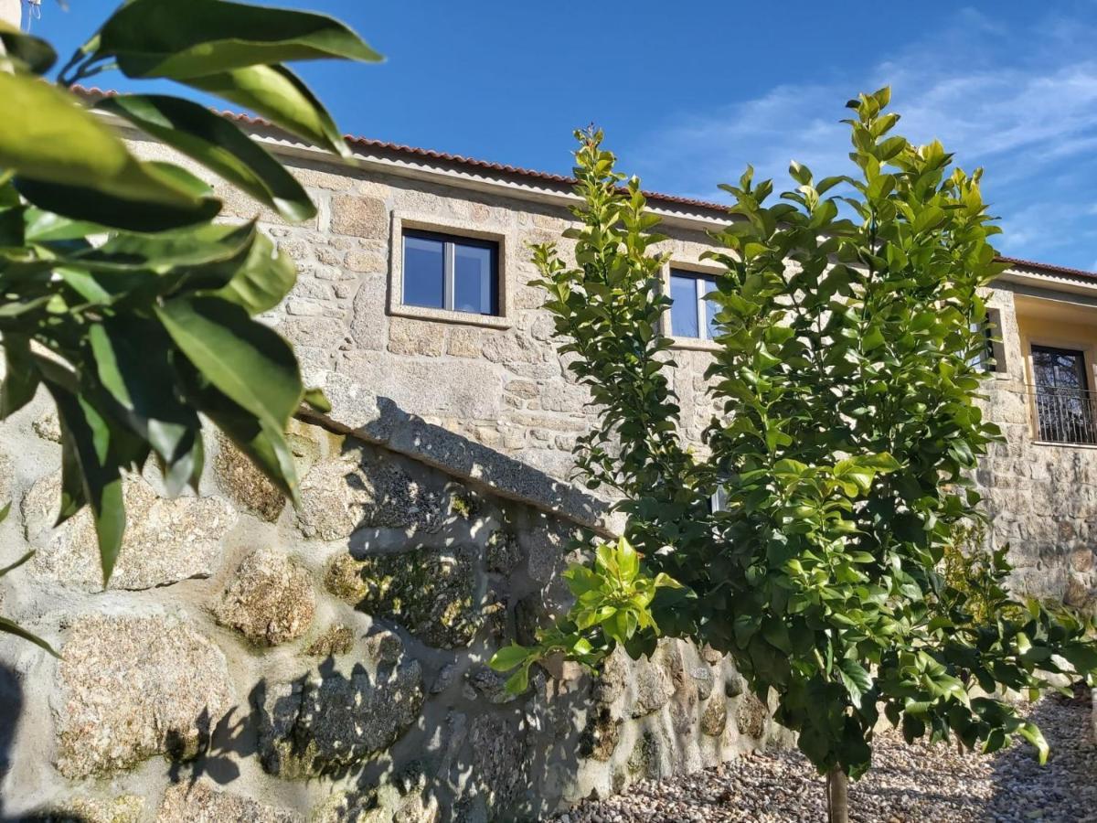 Quinta Das Regueiras Viseu Εξωτερικό φωτογραφία